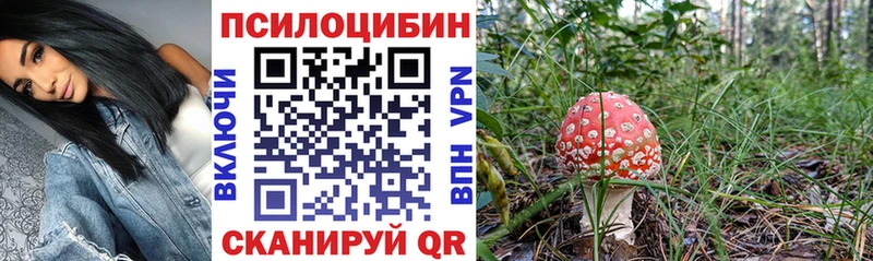 Галлюциногенные грибы MAGIC MUSHROOMS  сколько стоит  Задонск 